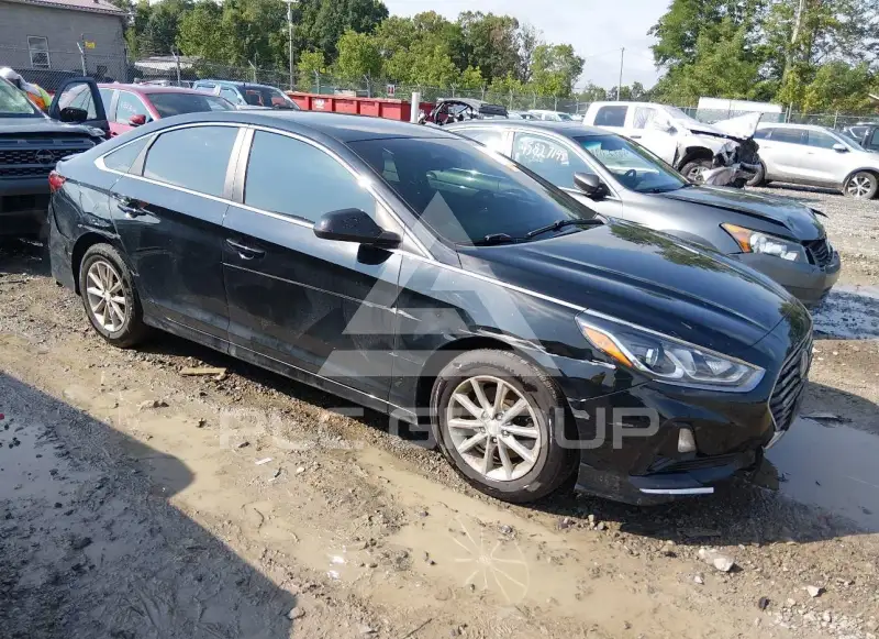 2019 Hyundai Sonata фото