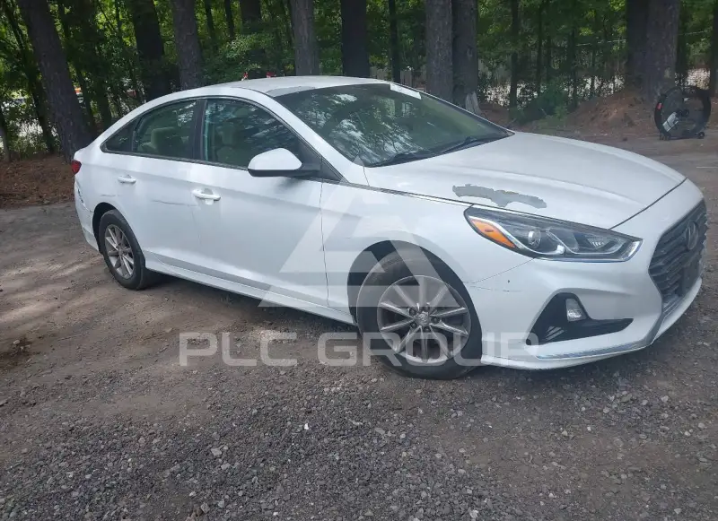 2019 Hyundai Sonata фото