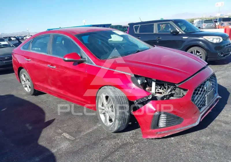 2019 Hyundai Sonata photo