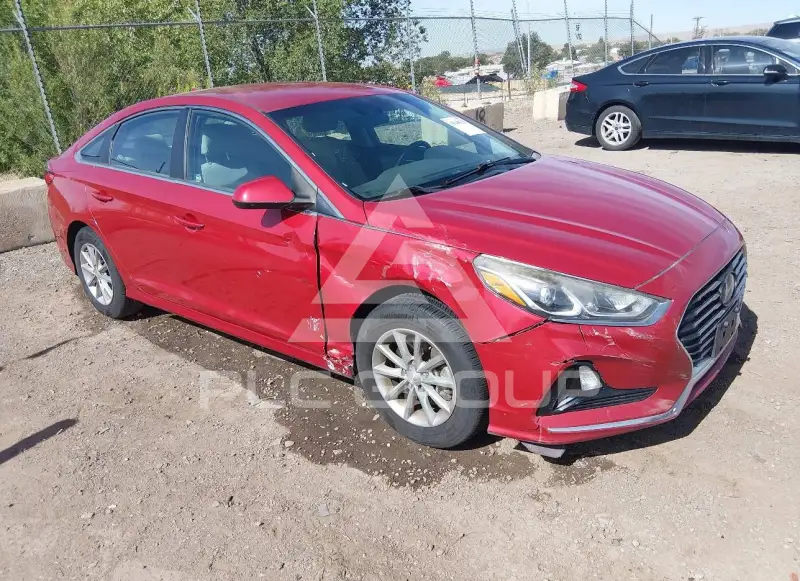 2019 Hyundai Sonata photo