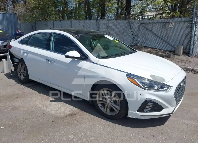 2019 Hyundai Sonata photo