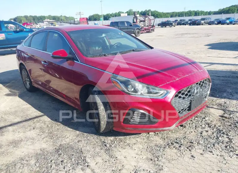 2019 Hyundai Sonata фото