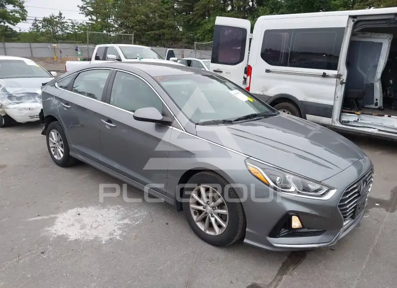 2019 Hyundai Sonata photo