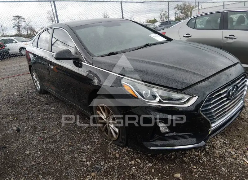 2019 Hyundai Sonata фото