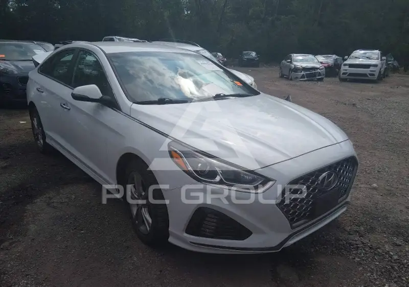 2019 Hyundai Sonata photo