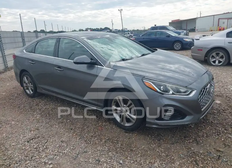 2019 Hyundai Sonata photo