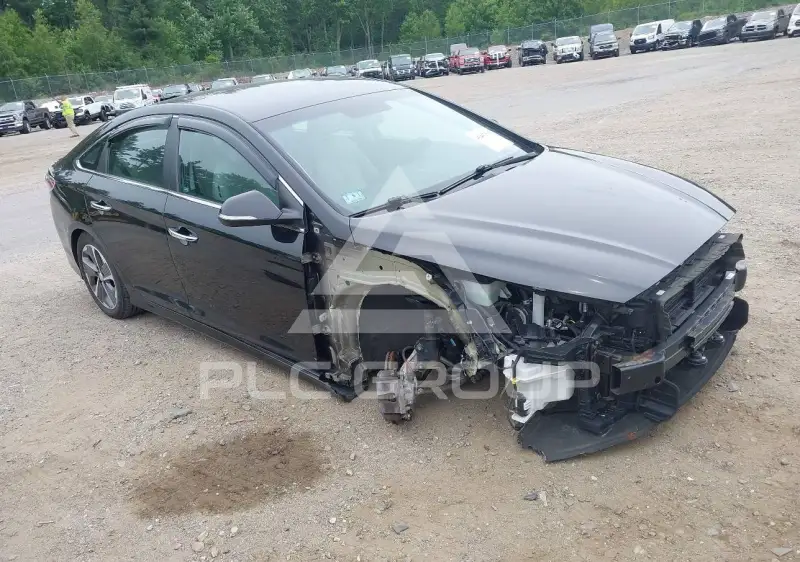 2019 Hyundai Sonata фото