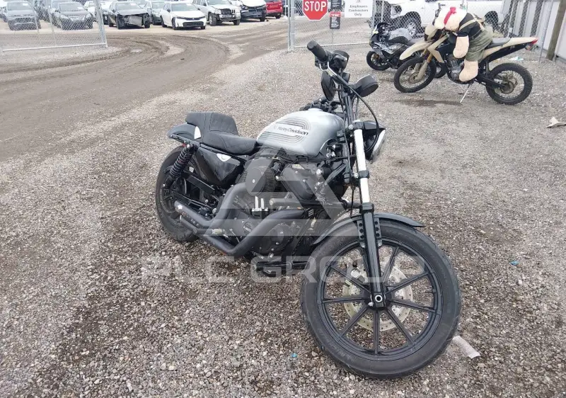 2020 Harley-Davidson XL1200 фото