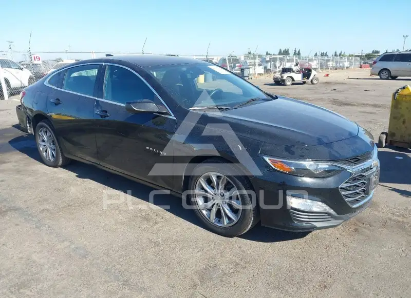 2020 Chevrolet Malibu photo