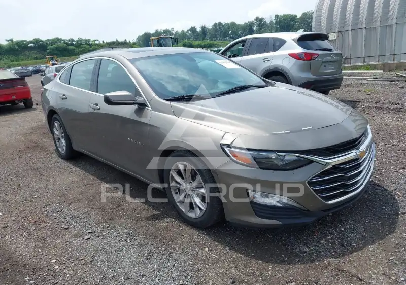 2020 Chevrolet Malibu photo