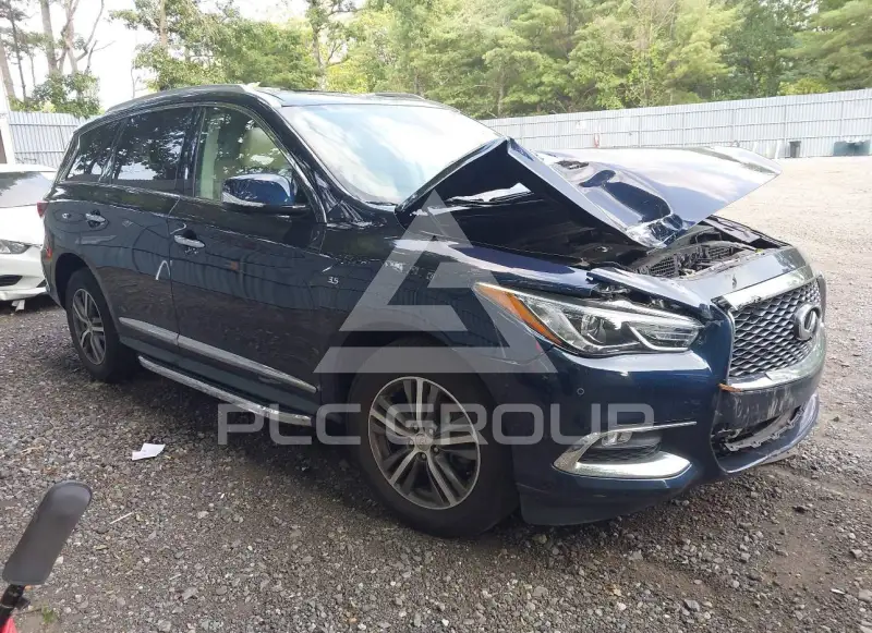 2020 Infinity QX60 photo