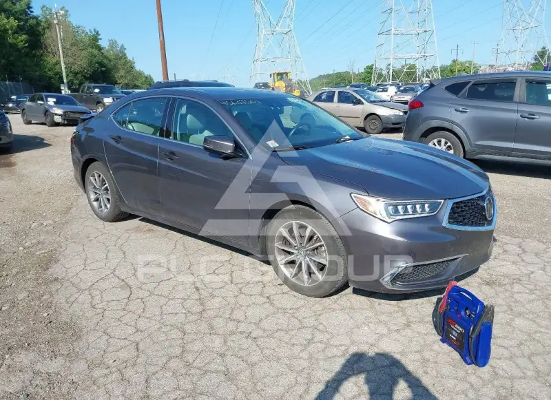 2020 Acura TLX фото