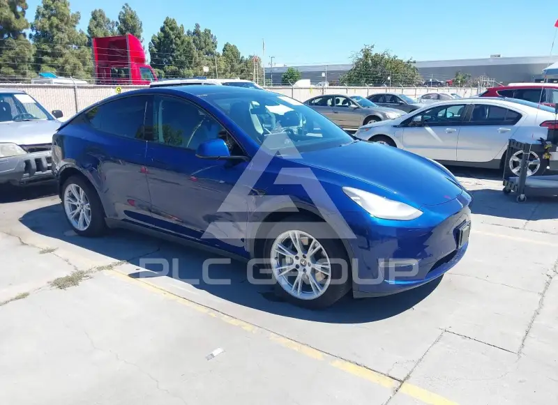 2020 Tesla Model Y фото