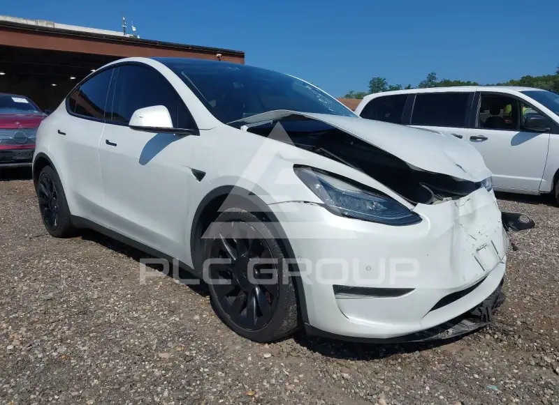2020 Tesla Model Y photo
