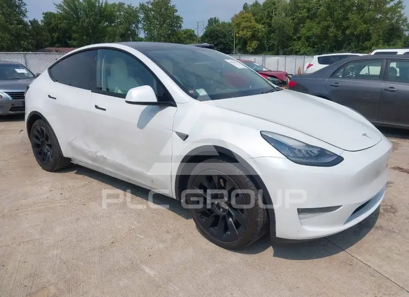 2020 Tesla Model Y photo