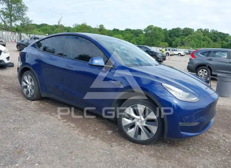 2020 Tesla Model Y photo