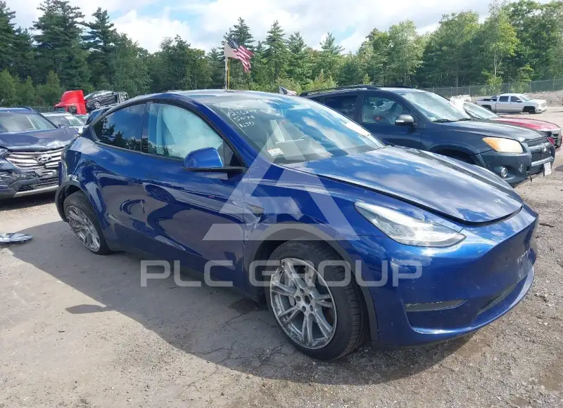 2020 Tesla Model Y photo