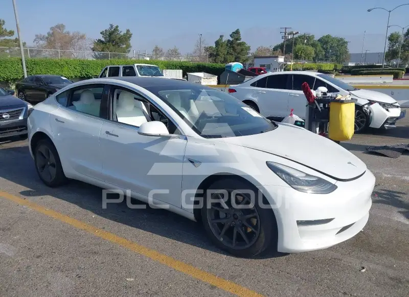 2020 Tesla Model 3 photo
