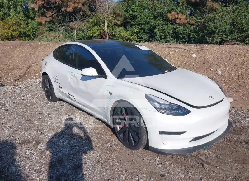 2020 Tesla Model 3 photo