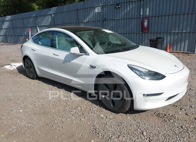 2020 Tesla Model 3 photo