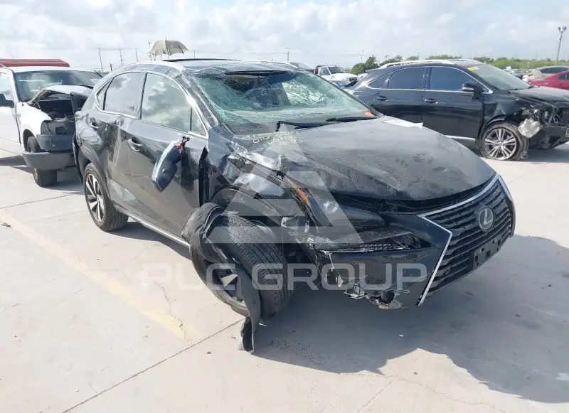 2020 Lexus NX300 photo