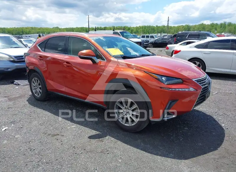 2020 Lexus NX300 фото