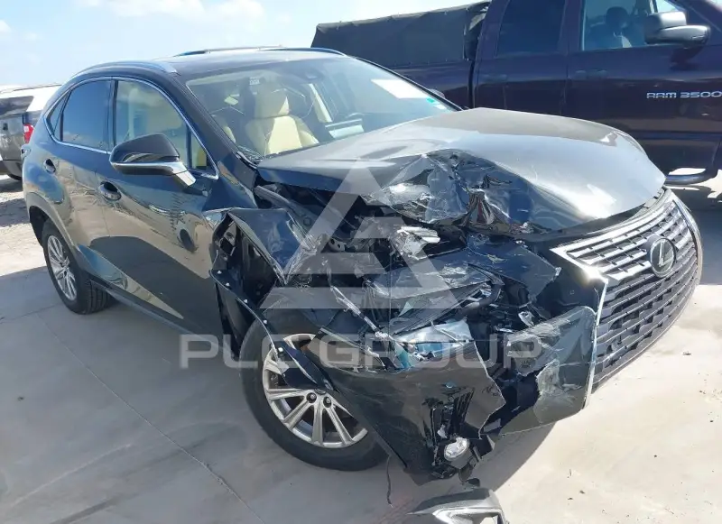 2020 Lexus NX300 фото