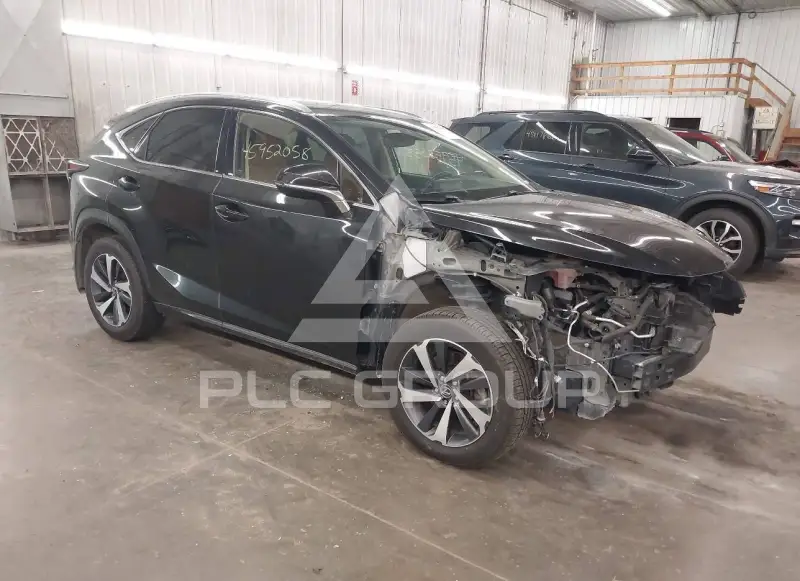 2020 Lexus NX300 photo