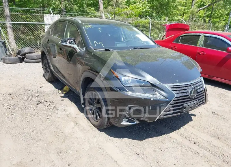 2020 Lexus NX300 фото