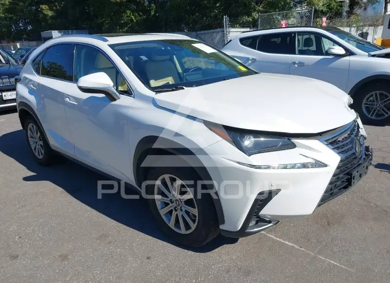 2020 Lexus NX300 фото