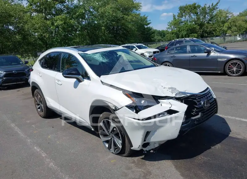 2020 Lexus NX300 фото