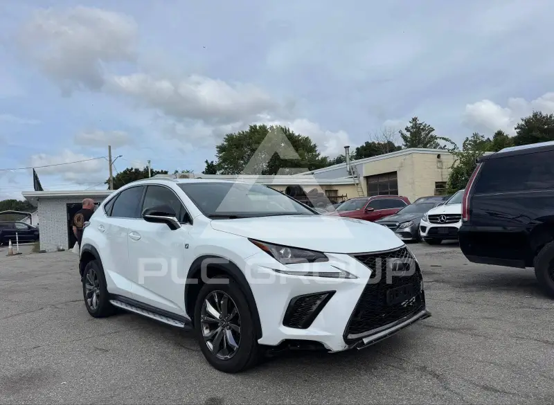 2020 Lexus NX300 photo