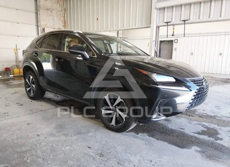 2020 Lexus NX300 фото