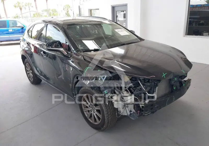 2020 Lexus NX300 фото