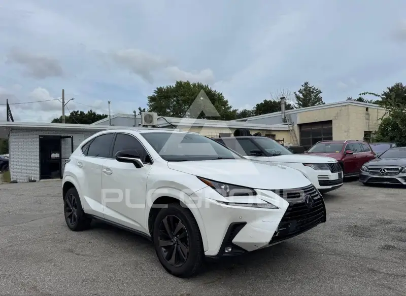 2020 Lexus NX300 photo