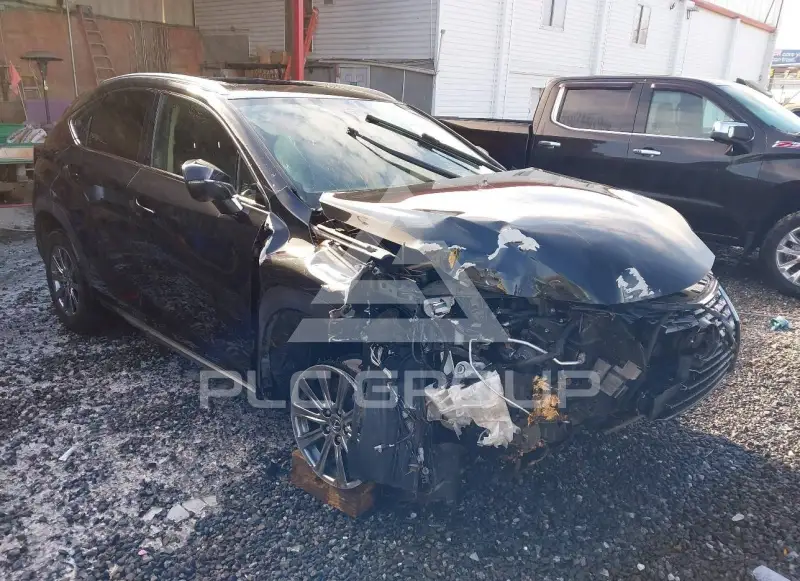 2020 Lexus NX300 фото