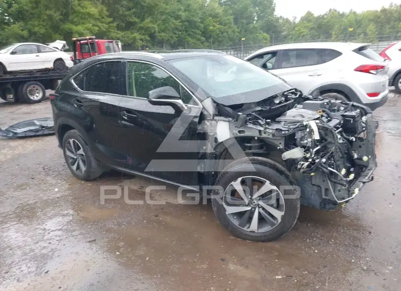 2020 Lexus NX300 photo