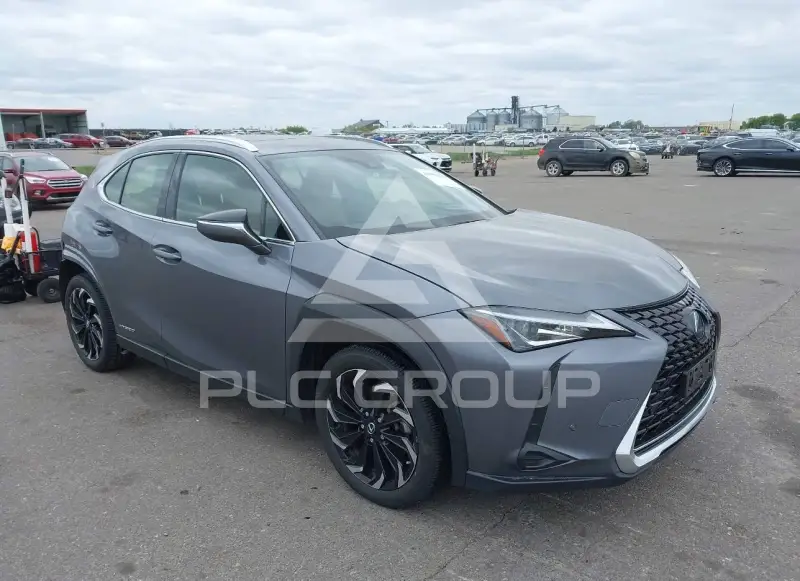 2020 Lexus UX250 фото
