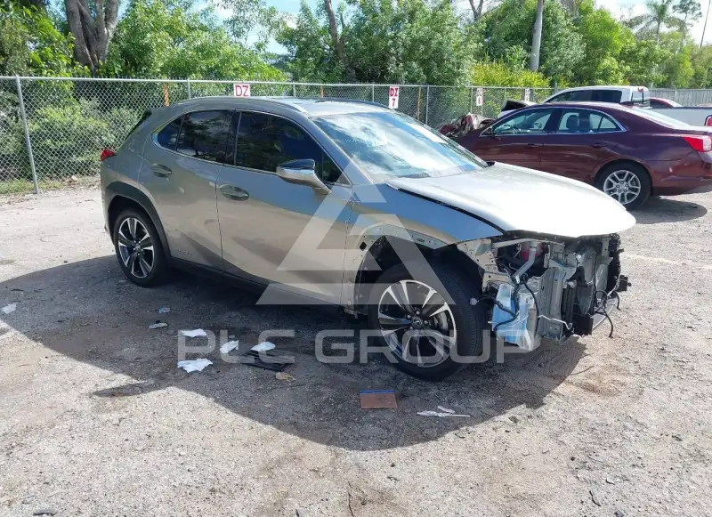 2020 Lexus UX250 фото