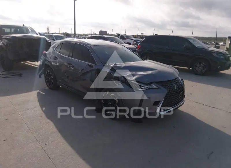 2020 Lexus UX250 фото