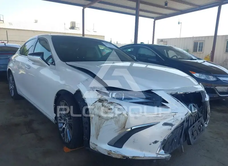 2020 Lexus ES350 фото