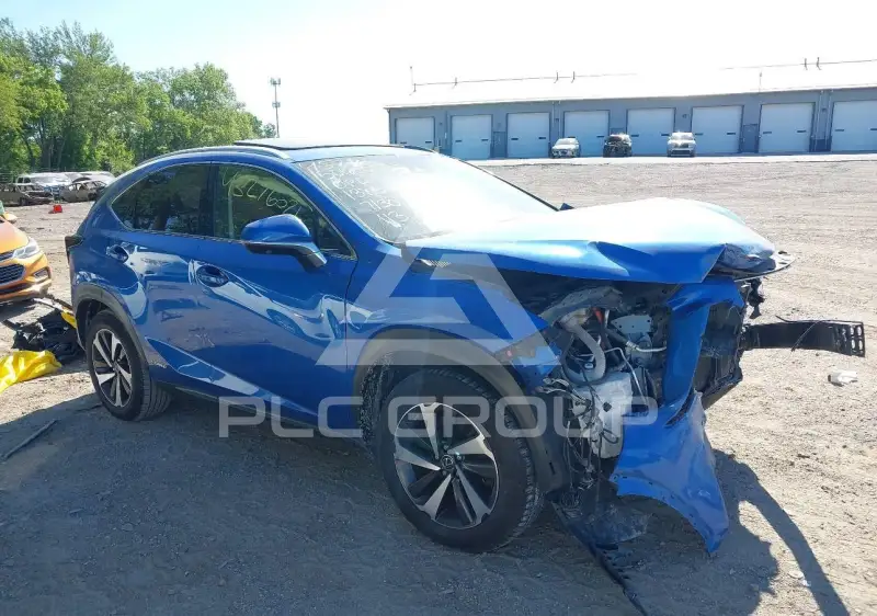 2020 Lexus NX300 photo