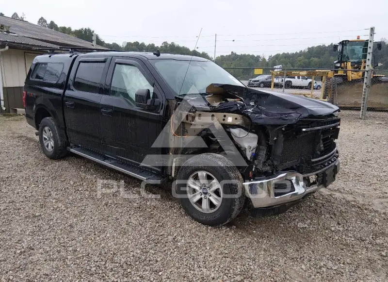 2020 Ford F-150 photo