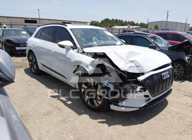 2021 Audi E-TRON photo