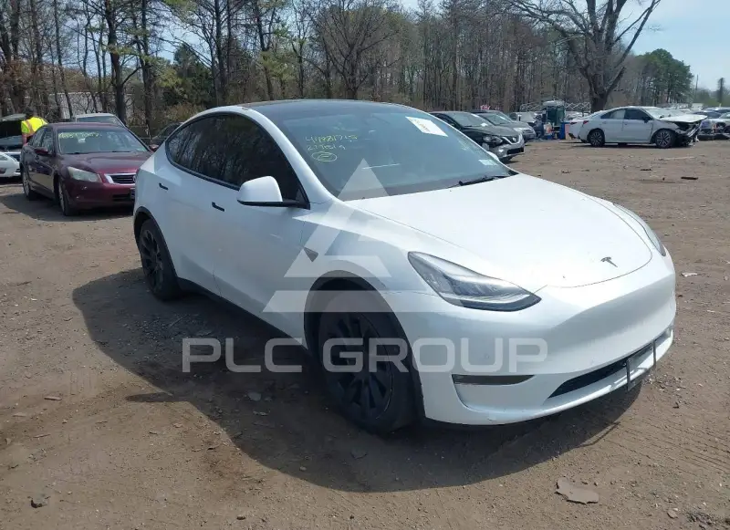 2021 Tesla Model Y фото