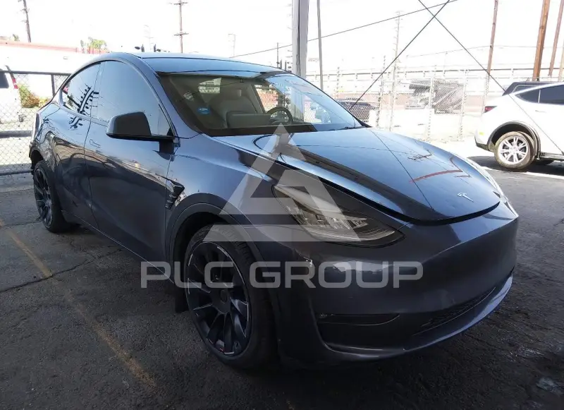 2021 Tesla Model Y фото
