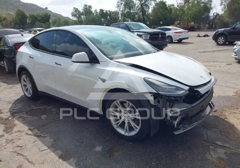 2021 Tesla Model Y фото