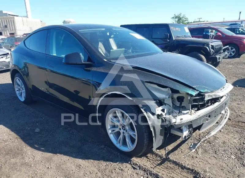 2021 Tesla Model Y photo