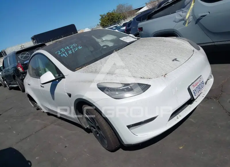 2021 Tesla Model Y фото