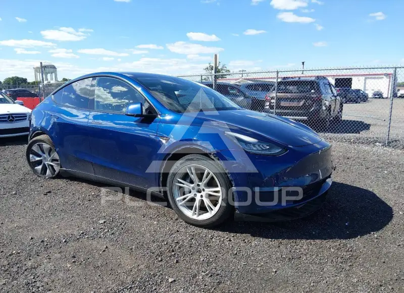2021 Tesla Model Y photo